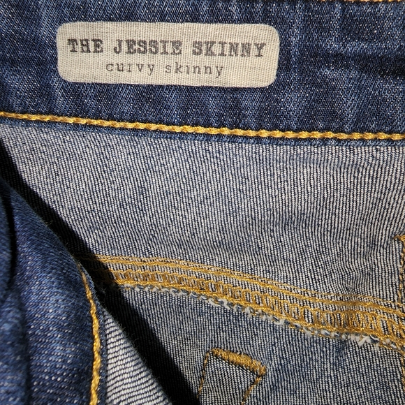 The Jesse Skinny Curvy Skinny Jeans - Picture 5 of 6